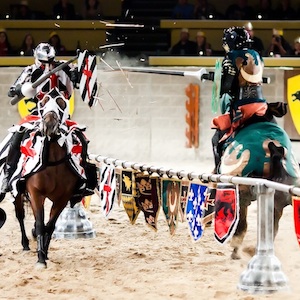Savings coupon for Medieval Times Chicago in Schaumburg Illinois, family, fun
