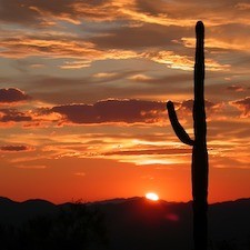 Savings coupons for cultural and family things to do in Arizona