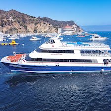 Savings coupon for Catalina Flyer from Newport Beach to Avalon, Catalina Island - whales, water and more!